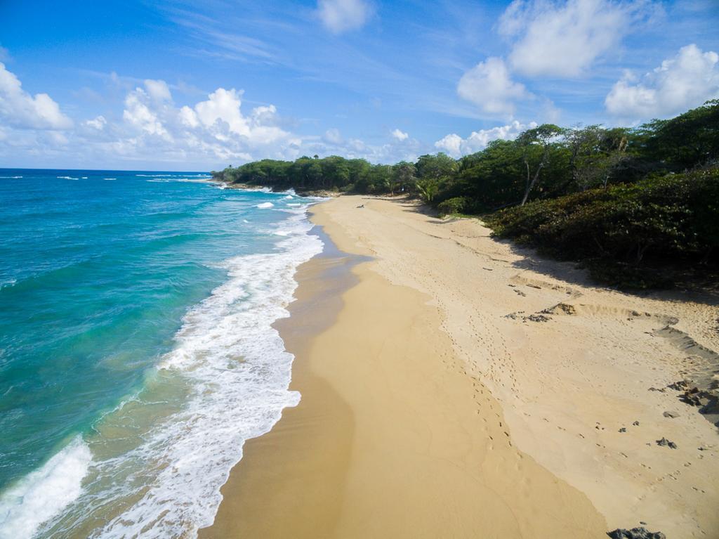 Natura Cabana Boutique Hotel & Spa By Mint Cabarete Buitenkant foto