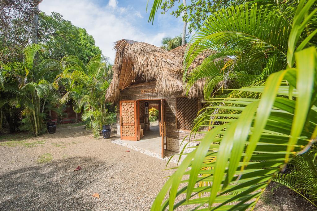 Natura Cabana Boutique Hotel & Spa By Mint Cabarete Buitenkant foto