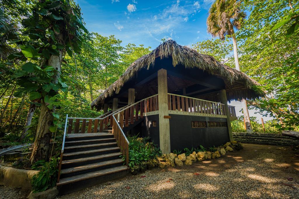 Natura Cabana Boutique Hotel & Spa By Mint Cabarete Buitenkant foto